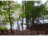 LAND FOR SALE OSWEGO, NY
