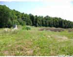 LAND FOR SALE HANNIBAL, NY